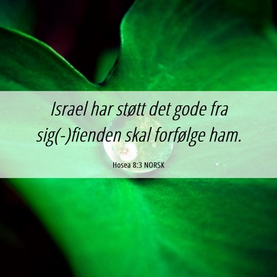 Picture 06 - Hosea 8:3 NORSK - Israel har støtt det gode fra sig(-)fienden skal - Bible Verse Picture