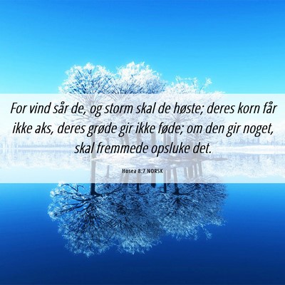 Picture 06 - Hosea 8:7 NORSK - For vind sår de, og storm skal de høste; deres - Bible Verse Picture