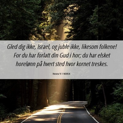 Picture 06 - Hosea 9:1 NORSK - Gled dig ikke, Israel, og juble ikke, likesom - Bible Verse Picture