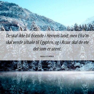Picture 06 - Hosea 9:3 NORSK - De skal ikke bli boende i Herrens land; men - Bible Verse Picture