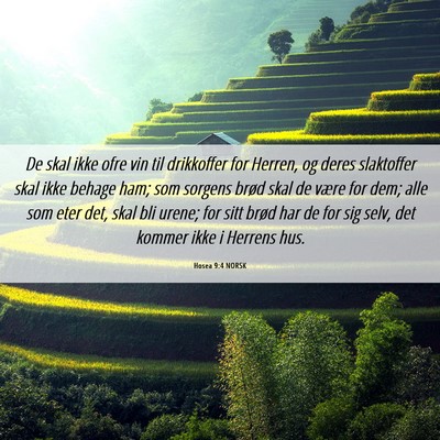 Picture 06 - Hosea 9:4 NORSK - De skal ikke ofre vin til drikkoffer for Herren, - Bible Verse Picture