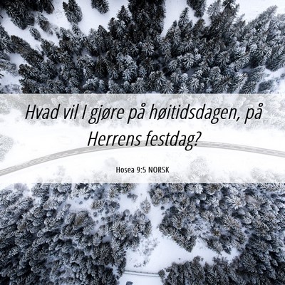 Picture 06 - Hosea 9:5 NORSK - Hvad vil I gjøre på høitidsdagen, på Herrens - Bible Verse Picture