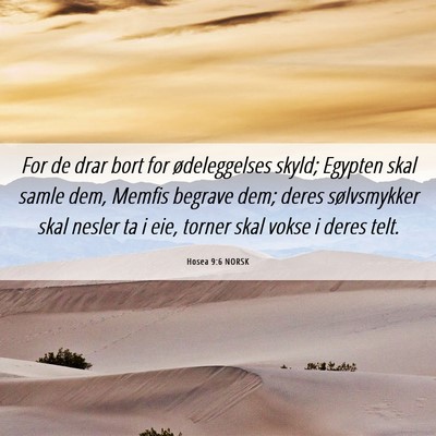 Picture 06 - Hosea 9:6 NORSK - For de drar bort for ødeleggelses skyld; Egypten - Bible Verse Picture