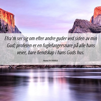 Picture 06 - Hosea 9:8 NORSK - Efra'm ser sig om efter andre guder ved siden av - Bible Verse Picture
