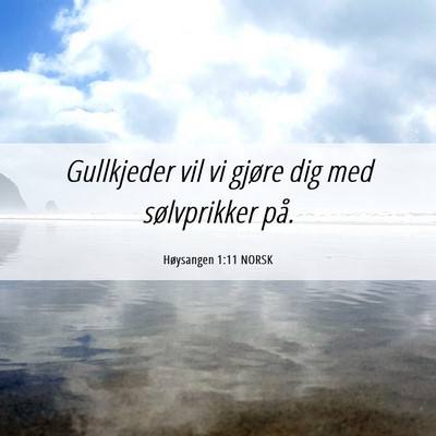 Picture 06 - Høysangen 1:11 NORSK - Gullkjeder vil vi gjøre dig med sølvprikker - Bible Verse Picture
