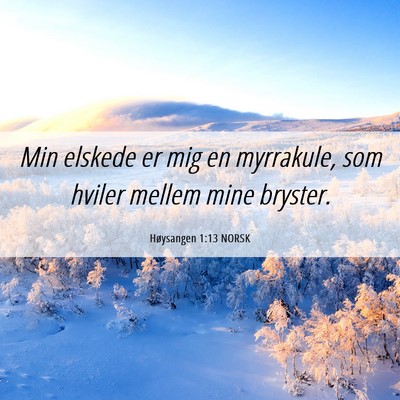 Picture 06 - Høysangen 1:13 NORSK - Min elskede er mig en myrrakule, som hviler - Bible Verse Picture