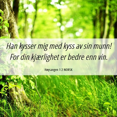 Picture 06 - Høysangen 1:2 NORSK - Han kysser mig med kyss av sin munn! For din - Bible Verse Picture