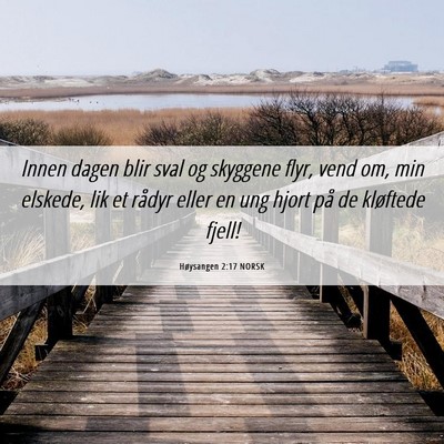 Picture 06 - Høysangen 2:17 NORSK - Innen dagen blir sval og skyggene flyr, vend om, - Bible Verse Picture