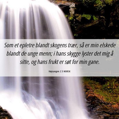 Picture 06 - Høysangen 2:3 NORSK - Som et epletre blandt skogens trær, så er min - Bible Verse Picture