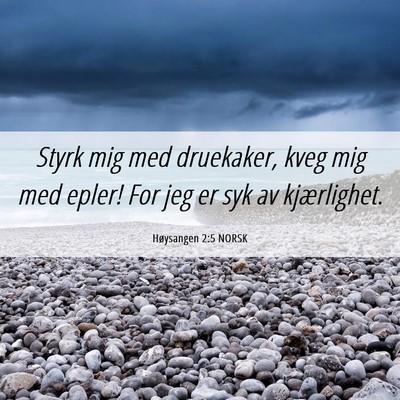 Picture 06 - Høysangen 2:5 NORSK - Styrk mig med druekaker, kveg mig med epler! For - Bible Verse Picture