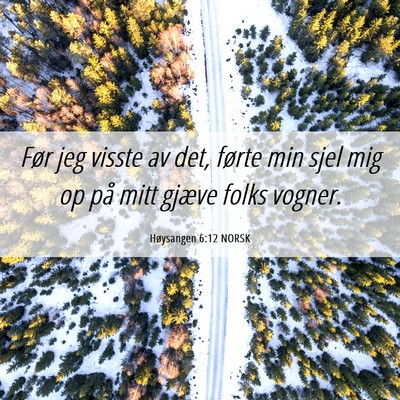 Picture 06 - Høysangen 6:12 NORSK - Før jeg visste av det, førte min sjel mig op - Bible Verse Picture