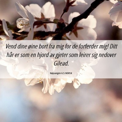 Picture 06 - Høysangen 6:5 NORSK - Vend dine øine bort fra mig for de forferder - Bible Verse Picture
