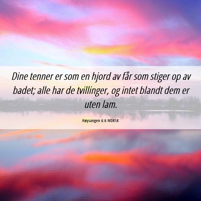 Picture 06 - Høysangen 6:6 NORSK - Dine tenner er som en hjord av får som stiger op - Bible Verse Picture