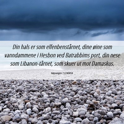 Picture 06 - Høysangen 7:4 NORSK - Din hals er som elfenbenstårnet, dine øine som - Bible Verse Picture
