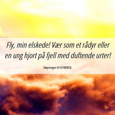 Picture 06 - Høysangen 8:14 NORSK - Fly, min elskede! Vær som et rådyr eller en ung - Bible Verse Picture
