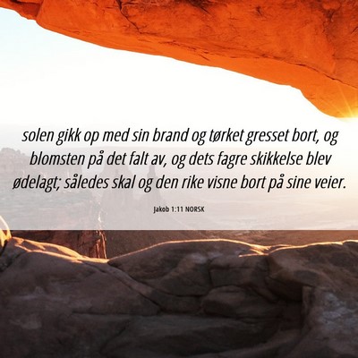 Picture 06 - Jakob 1:11 NORSK - solen gikk op med sin brand og tørket gresset - Bible Verse Picture