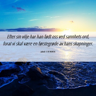 Picture 06 - Jakob 1:18 NORSK - Efter sin vilje har han født oss ved sannhets - Bible Verse Picture