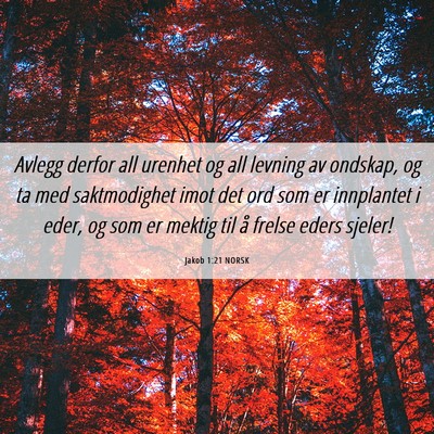 Picture 06 - Jakob 1:21 NORSK - Avlegg derfor all urenhet og all levning av - Bible Verse Picture