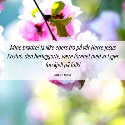 Picture 06 - Jakob 2:1 NORSK - Mine brødre! la ikke eders tro på vår Herre - Bible Verse Picture