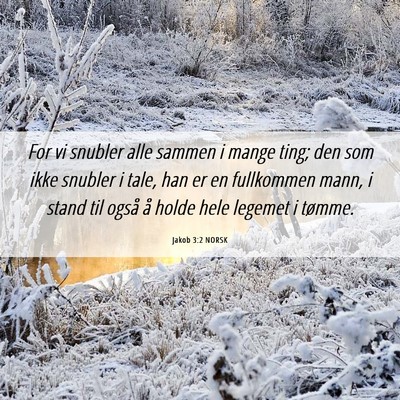 Picture 06 - Jakob 3:2 NORSK - For vi snubler alle sammen i mange ting; den som - Bible Verse Picture