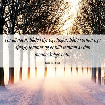 Picture 06 - Jakob 3:7 NORSK - For all natur, både i dyr og i fugler, både i - Bible Verse Picture