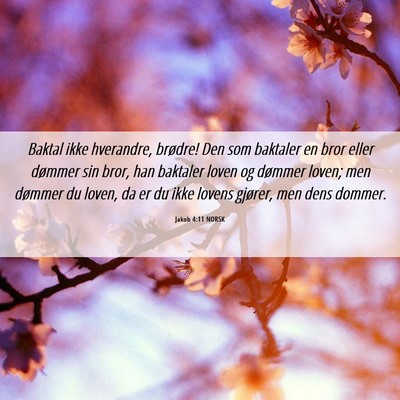 Picture 06 - Jakob 4:11 NORSK - Baktal ikke hverandre, brødre! Den som baktaler - Bible Verse Picture