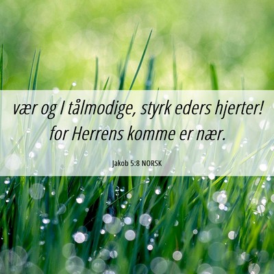 Picture 06 - Jakob 5:8 NORSK - vær og I tålmodige, styrk eders hjerter! for - Bible Verse Picture