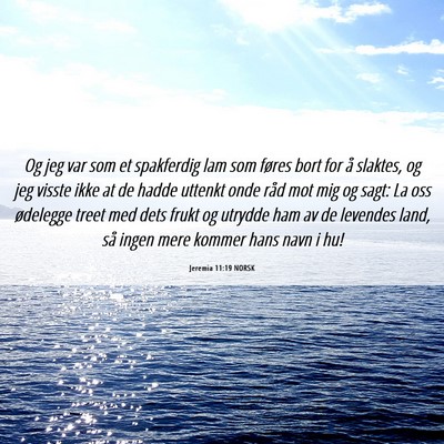Picture 06 - Jeremia 11:19 NORSK - Og jeg var som et spakferdig lam som føres bort - Bible Verse Picture