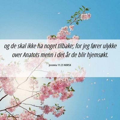 Picture 06 - Jeremia 11:23 NORSK - og de skal ikke ha noget tilbake; for jeg fører - Bible Verse Picture