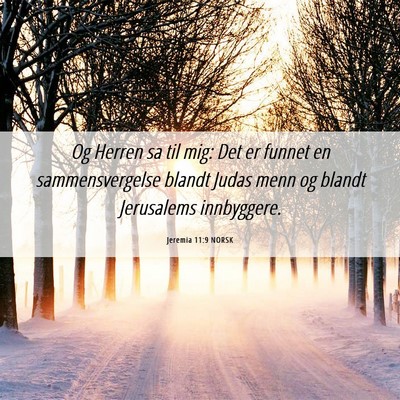 Picture 06 - Jeremia 11:9 NORSK - Og Herren sa til mig: Det er funnet en - Bible Verse Picture