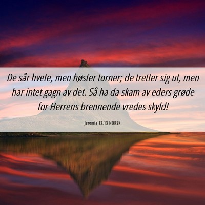 Picture 06 - Jeremia 12:13 NORSK - De sår hvete, men høster torner; de tretter sig - Bible Verse Picture