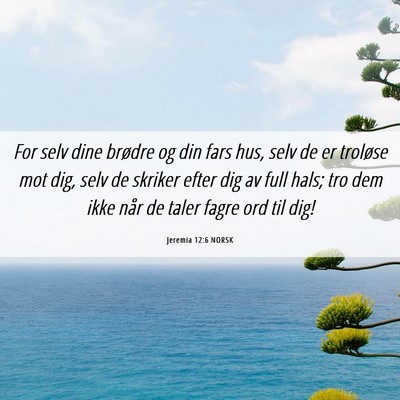 Picture 06 - Jeremia 12:6 NORSK - For selv dine brødre og din fars hus, selv de er - Bible Verse Picture
