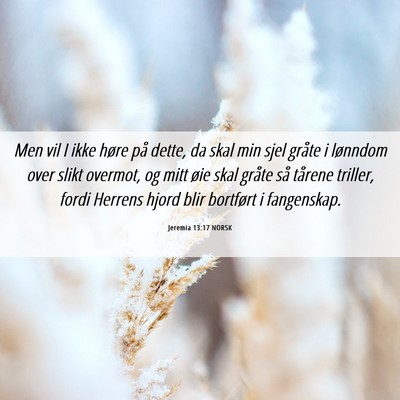 Picture 06 - Jeremia 13:17 NORSK - Men vil I ikke høre på dette, da skal min sjel - Bible Verse Picture