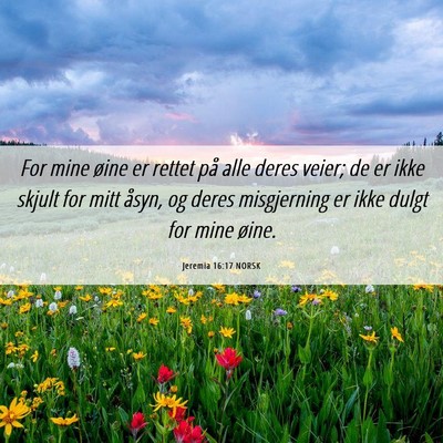 Picture 06 - Jeremia 16:17 NORSK - For mine øine er rettet på alle deres veier; de - Bible Verse Picture