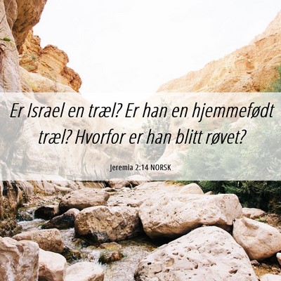 Picture 06 - Jeremia 2:14 NORSK - Er Israel en træl? Er han en hjemmefødt træl? - Bible Verse Picture