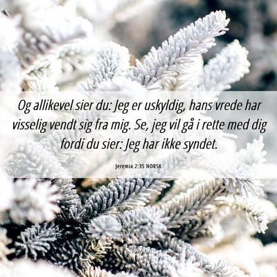 Picture 06 - Jeremia 2:35 NORSK - Og allikevel sier du: Jeg er uskyldig, hans vrede - Bible Verse Picture