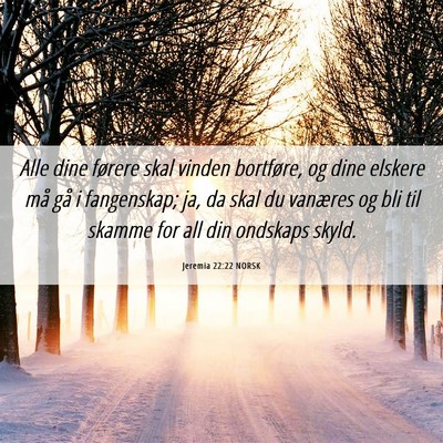 Picture 06 - Jeremia 22:22 NORSK - Alle dine førere skal vinden bortføre, og dine - Bible Verse Picture