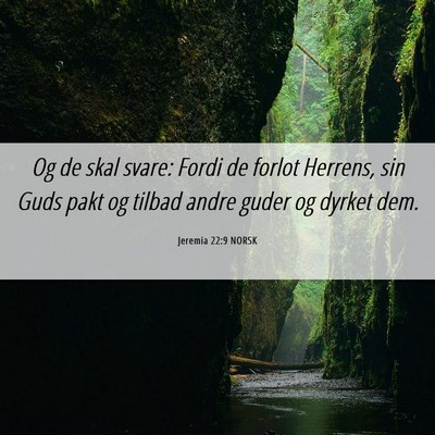 Picture 06 - Jeremia 22:9 NORSK - Og de skal svare: Fordi de forlot Herrens, sin - Bible Verse Picture