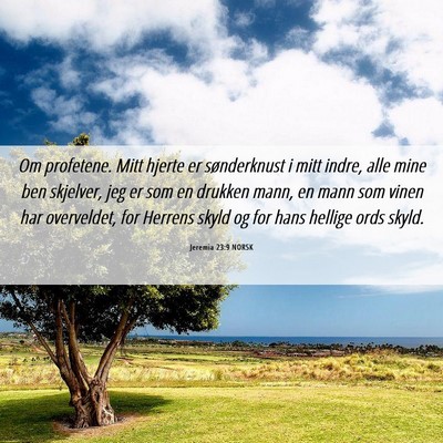Picture 06 - Jeremia 23:9 NORSK - Om profetene. Mitt hjerte er sønderknust i mitt - Bible Verse Picture