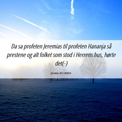 Picture 06 - Jeremia 28:5 NORSK - Da sa profeten Jeremias til profeten Hananja så - Bible Verse Picture