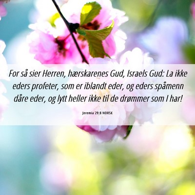Picture 06 - Jeremia 29:8 NORSK - For så sier Herren, hærskarenes Gud, Israels - Bible Verse Picture