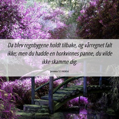 Picture 06 - Jeremia 3:3 NORSK - Da blev regnbygene holdt tilbake, og vårregnet - Bible Verse Picture