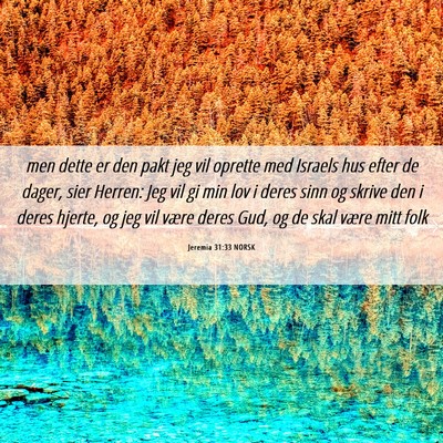 Picture 06 - Jeremia 31:33 NORSK - men dette er den pakt jeg vil oprette med Israels - Bible Verse Picture