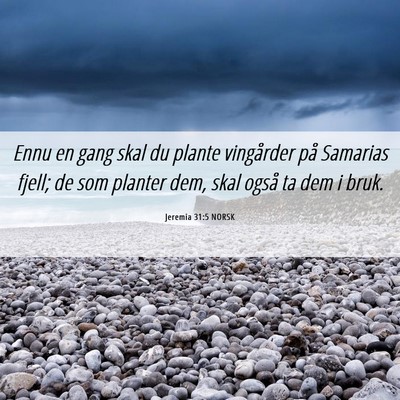 Picture 06 - Jeremia 31:5 NORSK - Ennu en gang skal du plante vingårder på - Bible Verse Picture