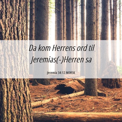 Picture 06 - Jeremia 34:12 NORSK - Da kom Herrens ord til Jeremias(-)Herren - Bible Verse Picture