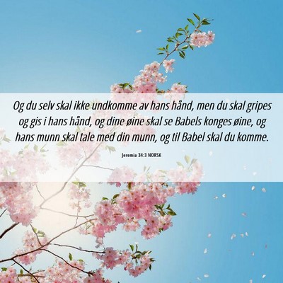 Picture 06 - Jeremia 34:3 NORSK - Og du selv skal ikke undkomme av hans hånd, men - Bible Verse Picture