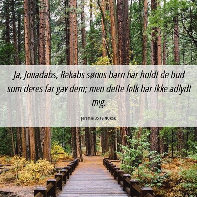 Picture 06 - Jeremia 35:16 NORSK - Ja, Jonadabs, Rekabs sønns barn har holdt de bud - Bible Verse Picture