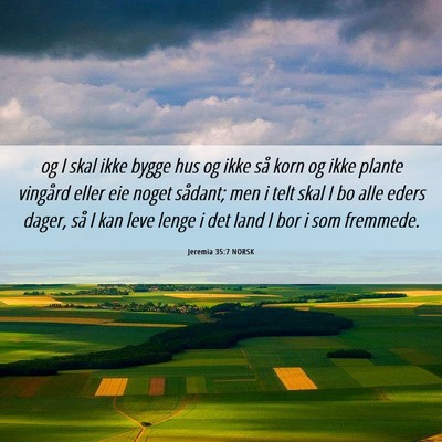 Picture 06 - Jeremia 35:7 NORSK - og I skal ikke bygge hus og ikke så korn og ikke - Bible Verse Picture