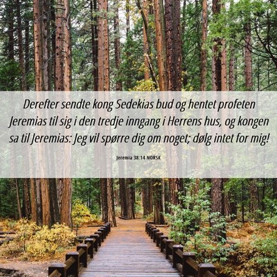 Picture 06 - Jeremia 38:14 NORSK - Derefter sendte kong Sedekias bud og hentet - Bible Verse Picture