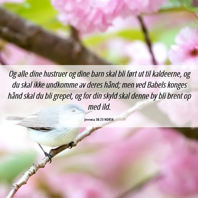 Picture 06 - Jeremia 38:23 NORSK - Og alle dine hustruer og dine barn skal bli ført - Bible Verse Picture